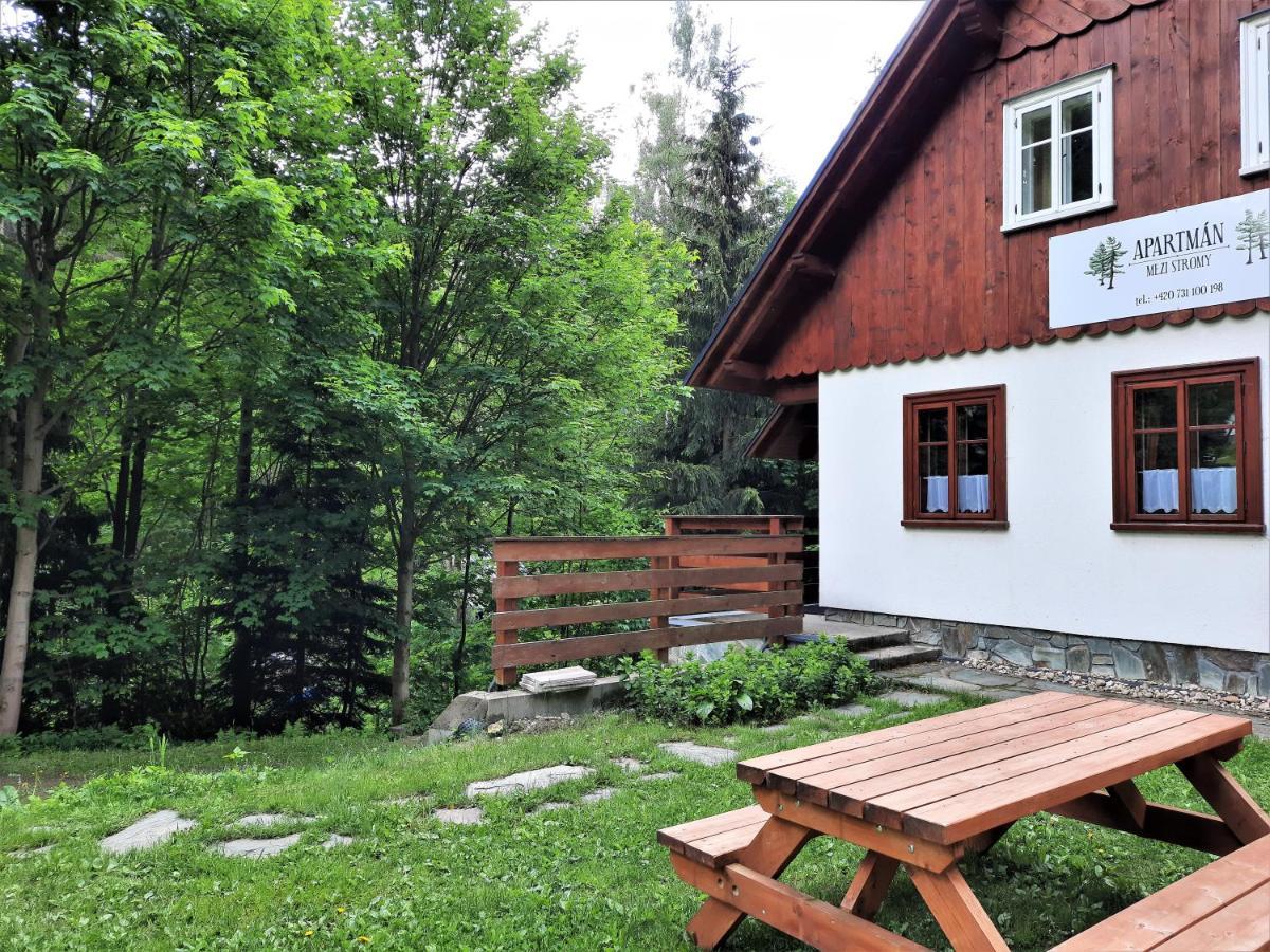 Apartmán mezi stromy Rokytnice nad Jizerou Exterior foto