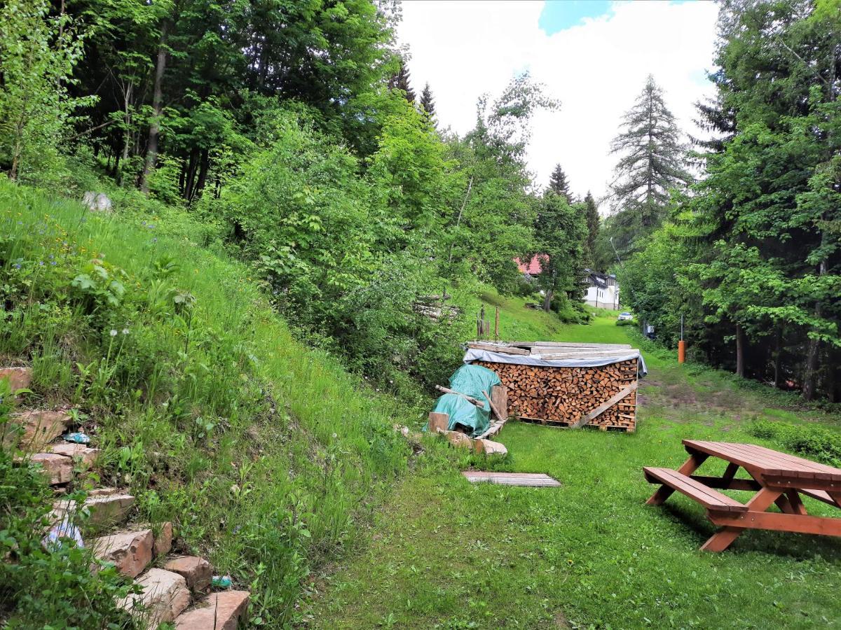 Apartmán mezi stromy Rokytnice nad Jizerou Exterior foto