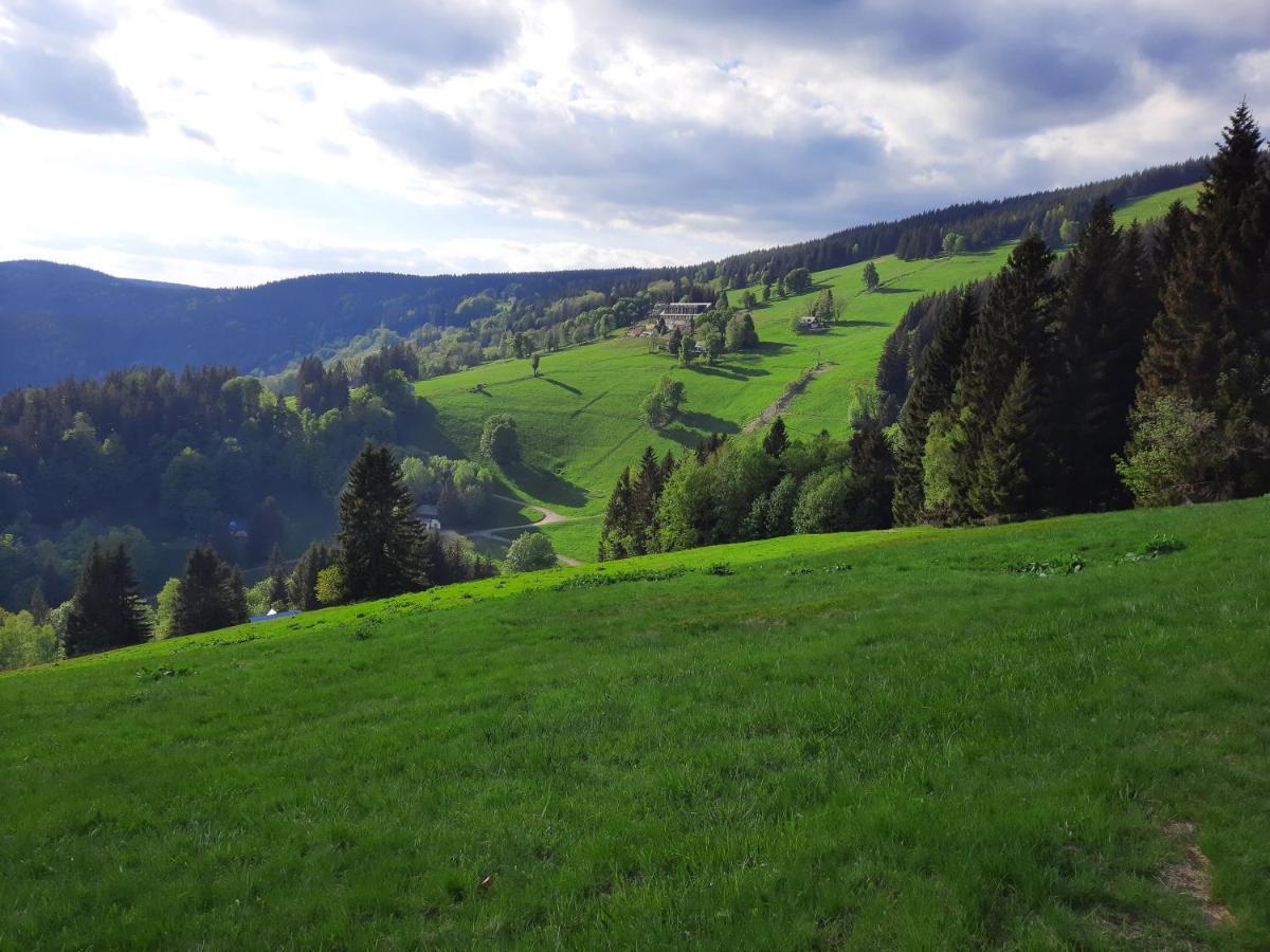 Apartmán mezi stromy Rokytnice nad Jizerou Exterior foto